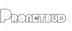 pronetbud logo